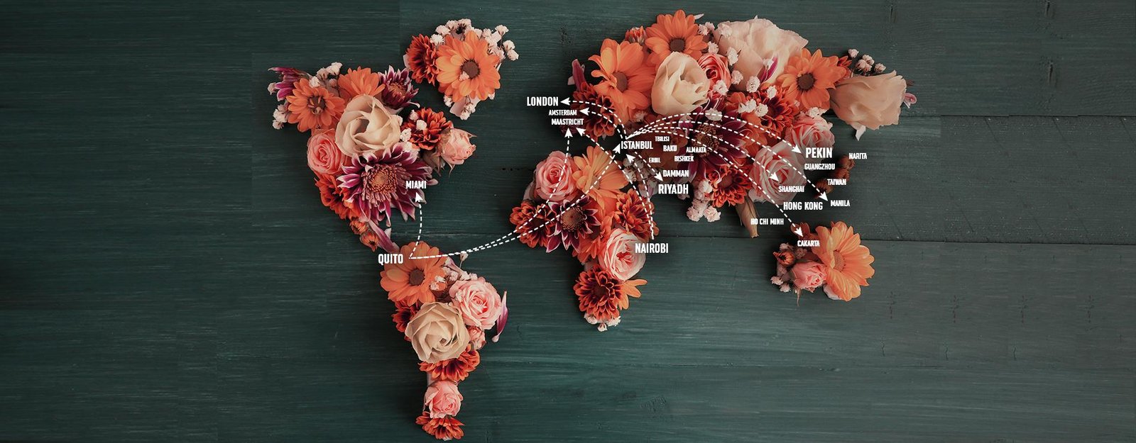 Four thousand tons of flowers carried by Turkish Cargo exclusively for